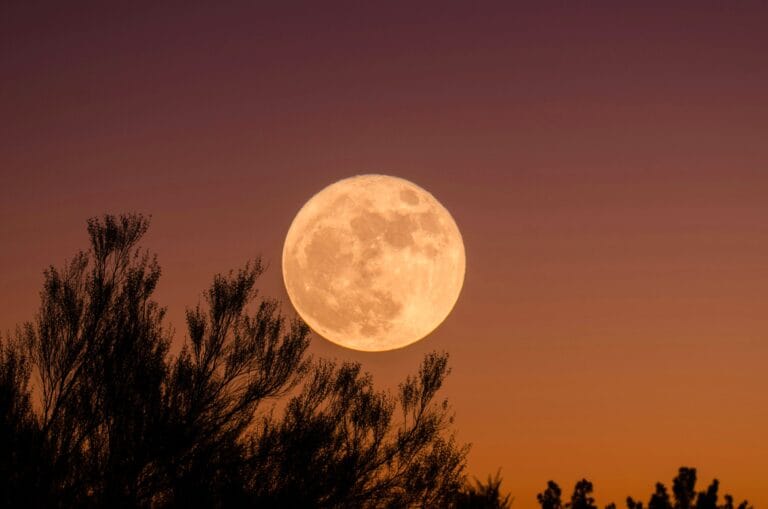 Embracing Lifeβs Cycles: Day 9 of the 27-Day GVG Affirmation Challenge